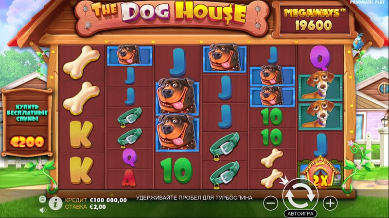 The Dog House
